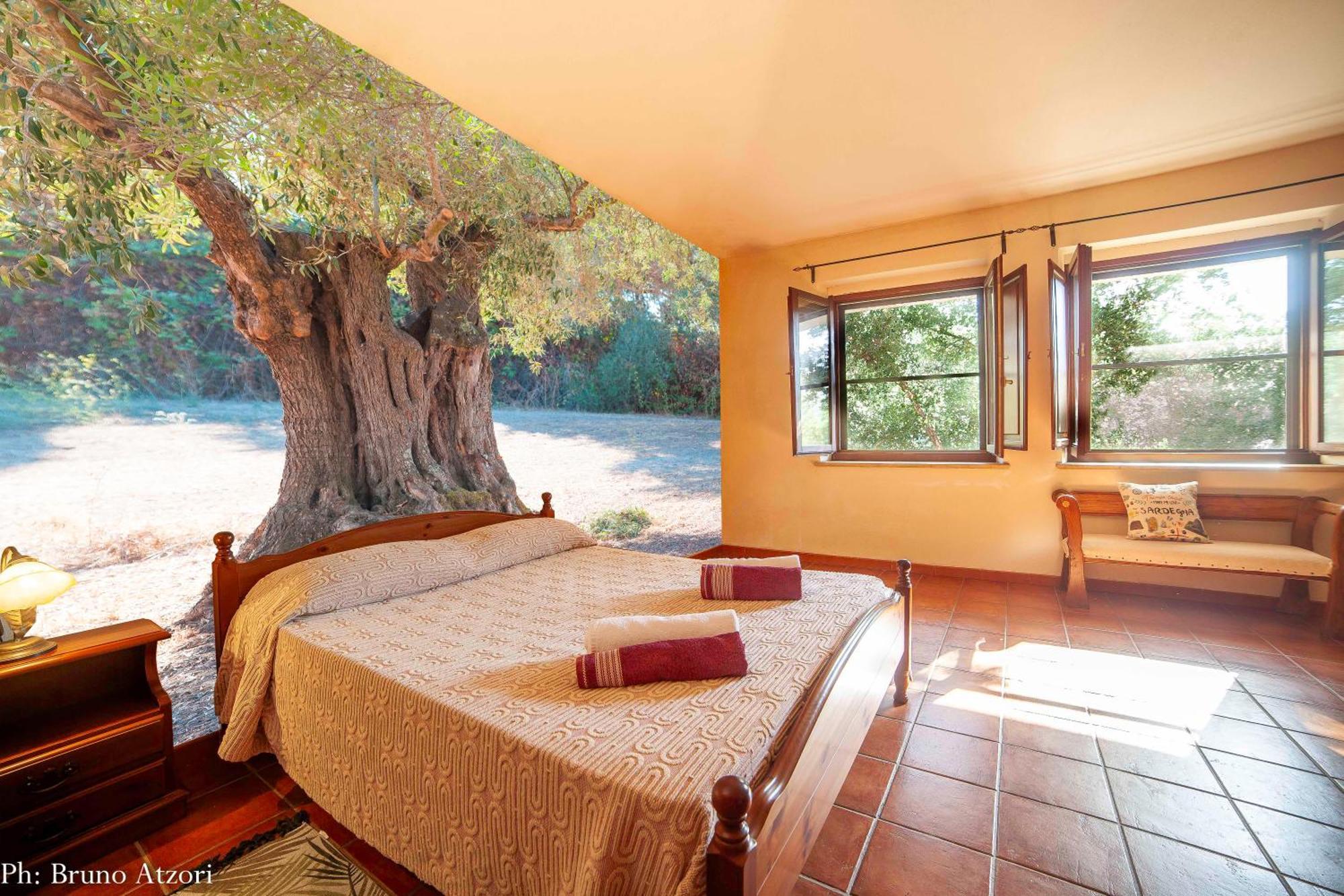 Sa Tanchitta Villa Ula Tirso Dış mekan fotoğraf